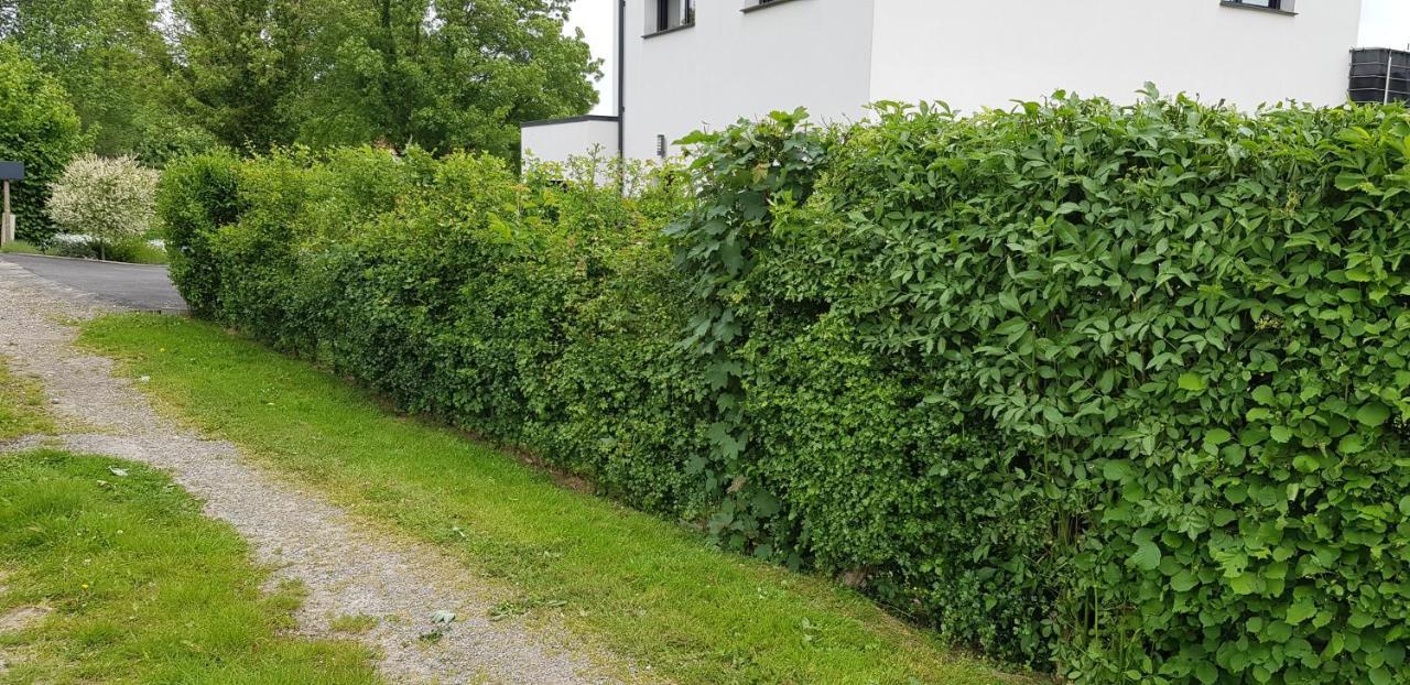 Maison Moderne A La Campagne Bezinghem 外观 照片